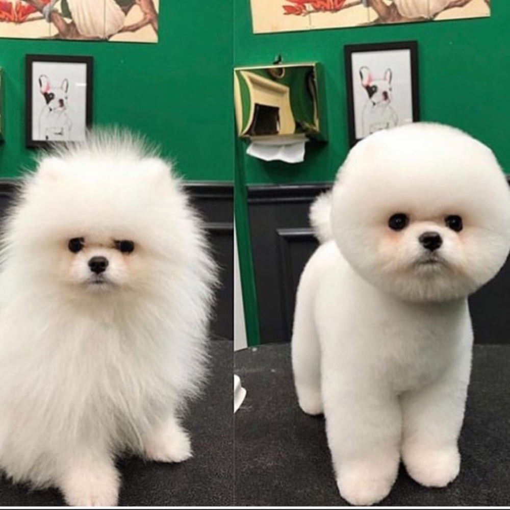 Meet your Posher, Vicki